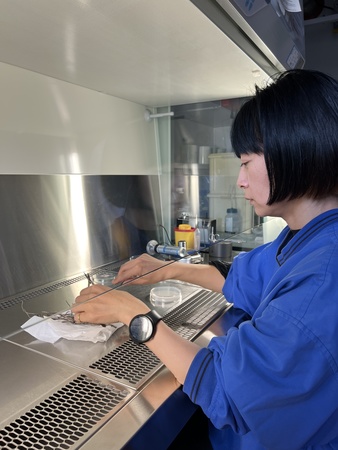 Kyoka Matsuzawa Wsl Kyoka Matsuzawa Wsl