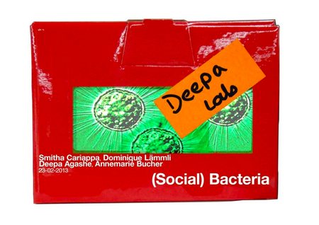 Social Bacteria Laemmli