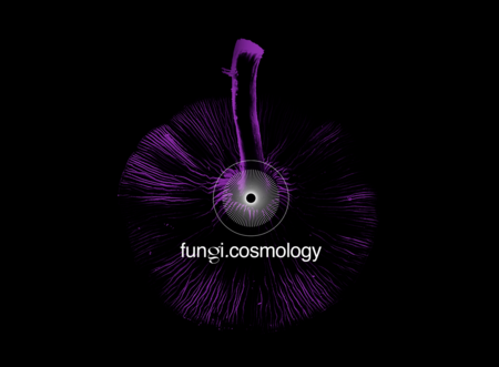 Fungi Cosmology
