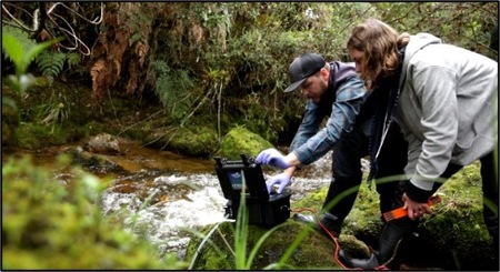 Ecosystems And Landscape Evolution Group
